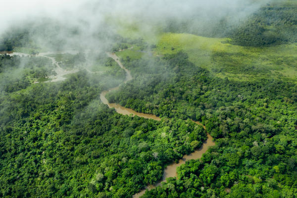 fleuve congo