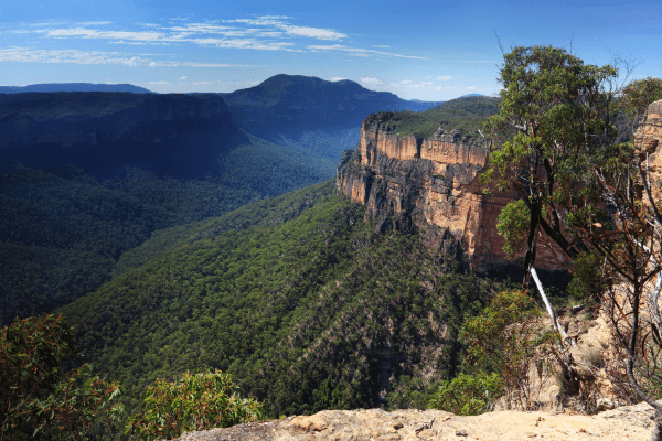 Australie Biodiv