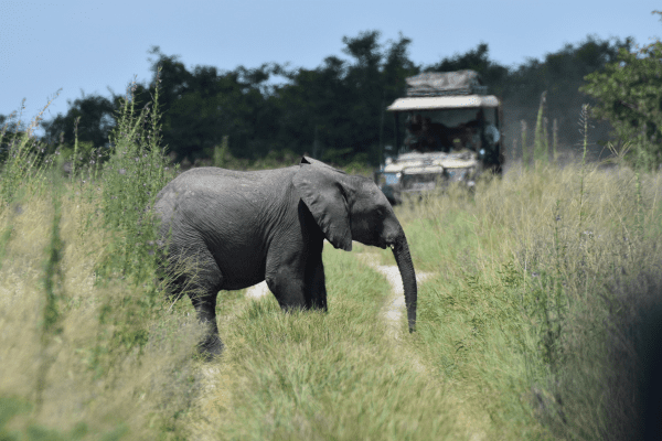 Botswana BEH