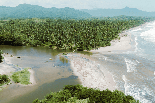 Colombie Biodiv