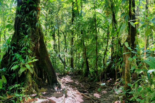 Guadeloupe Biodiv