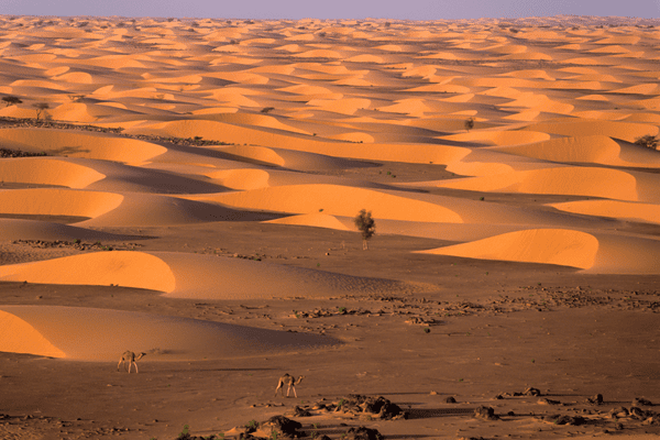 Mauritanie Biodiv