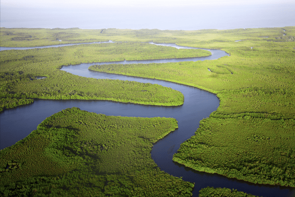Sénégal Biodiv