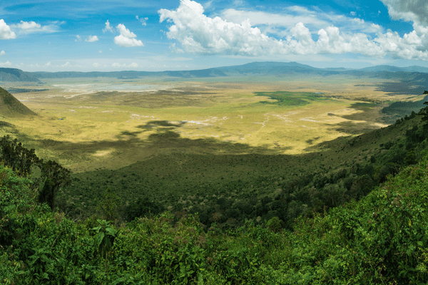 Tanzanie Biodiv