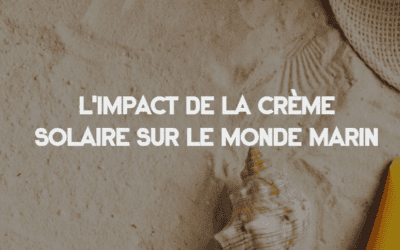 L&rsquo;impact de la crème solaire sur le monde marin