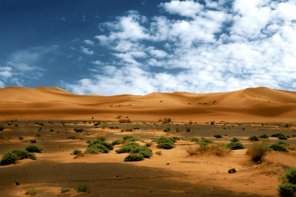 maroc biodiv