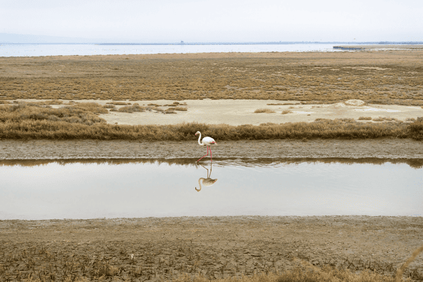 Grèce Biodiv