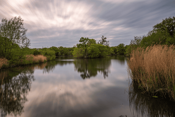 Irlande Biodiv